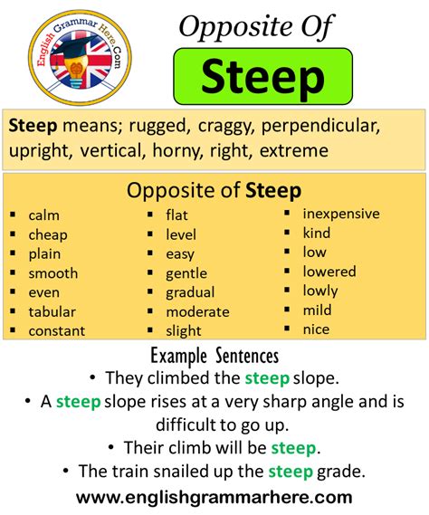 steepest synonym|opposite of steeper.